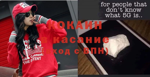 молекула духа Богданович