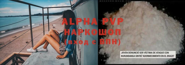 молекула духа Богданович