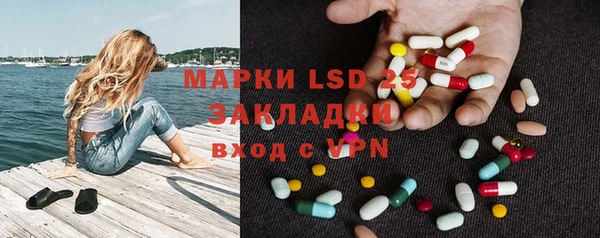 молекула духа Богданович