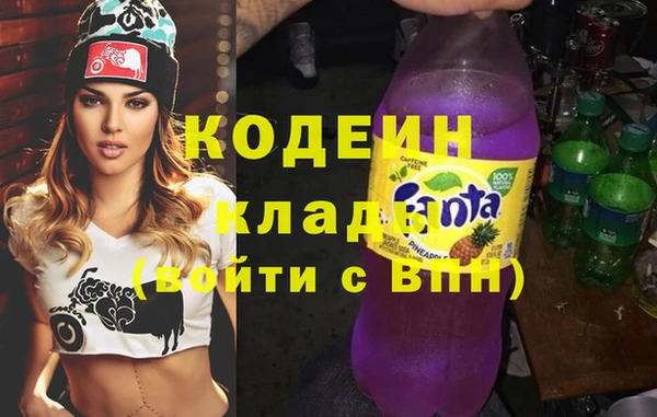 молекула духа Богданович