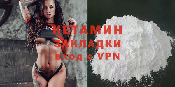 молекула духа Богданович