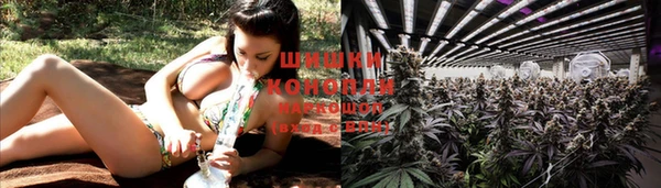 молекула духа Богданович