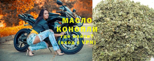 молекула духа Богданович