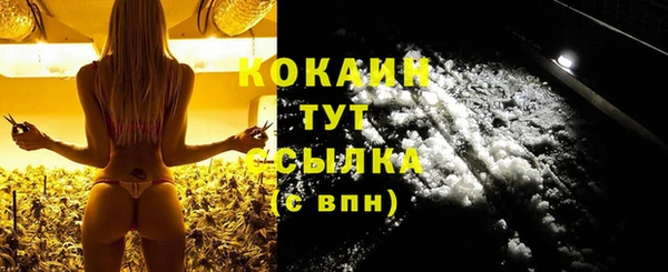 молекула духа Богданович