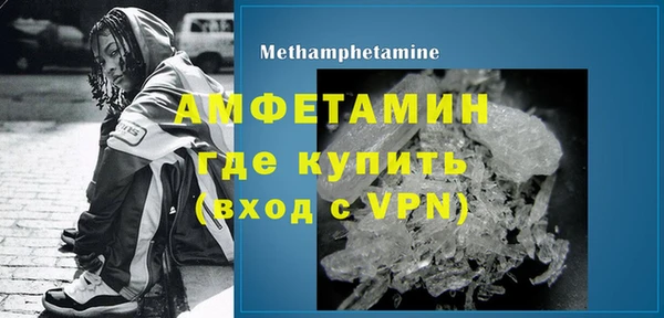 молекула духа Богданович