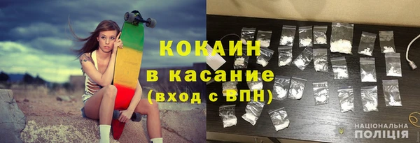 молекула духа Богданович