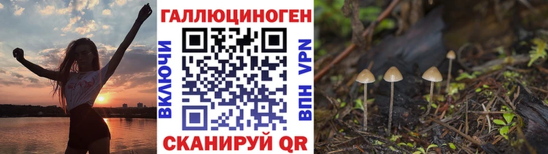 Купить  Советский  Псилоцибиновые грибы мицелий 